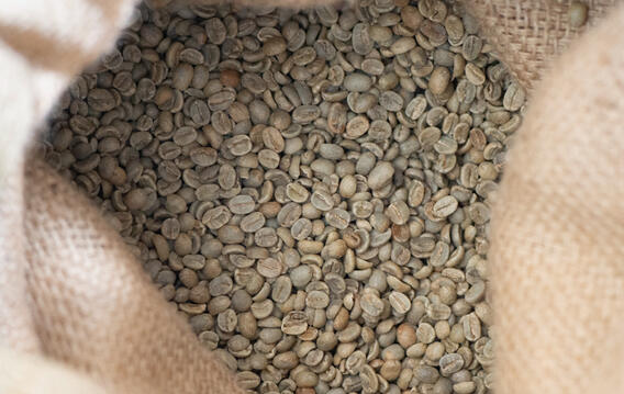 Green Coffee Cafe Verde